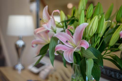 Westbrook Guesthouse - image 11