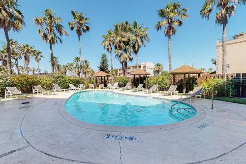 1 Bed 1 Bath Apartment in South Padre Island - image 8