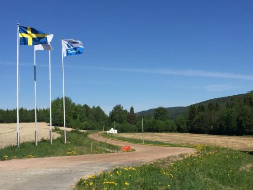 2/4 persoons stuga lyx - image 3