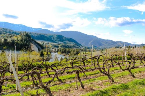 4 Bed 4 Bath Vacation home in Leavenworth