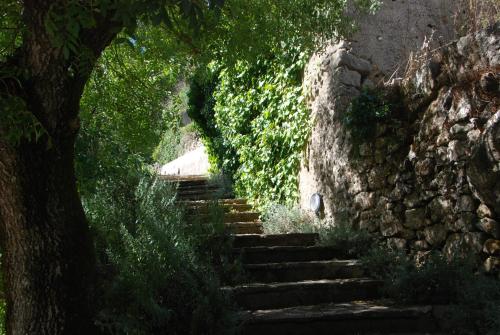 Sintra Center Guest House Escape to Nature 5