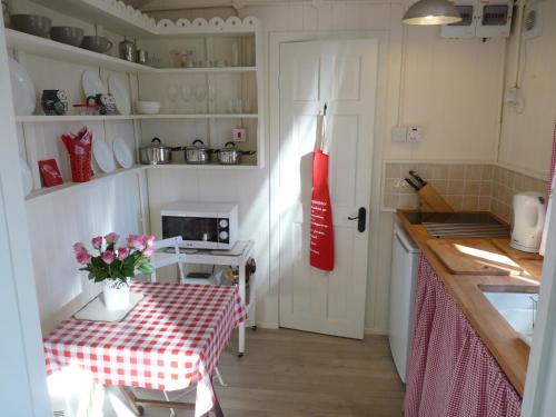 Romany Wagon & Cwtch with your own private 1 acer, Llandysul (fotografie 7)
