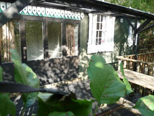 Romany Wagon & Cwtch with your own private 1 acer, Llandysul (fotografie 6)