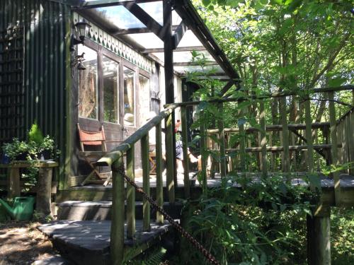 Romany Wagon & Cwtch with your own private 1 acer, Llandysul (fotografie 5)