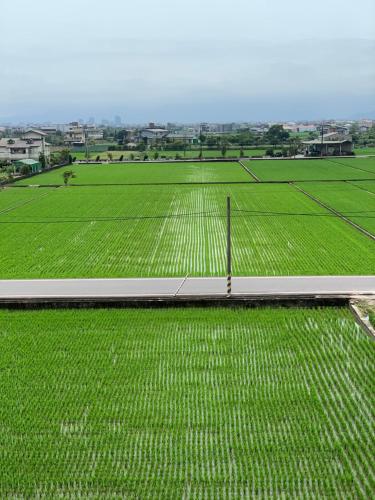Buluba, Yuanshan (foto 8)
