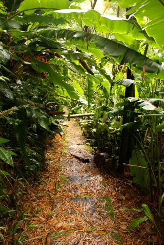 Hotel campestre La Floresta