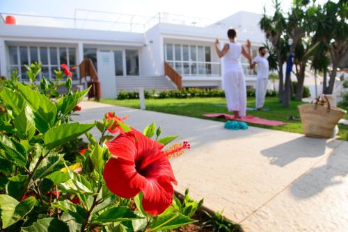 Cala Llenya Resort Ibiza - image 3