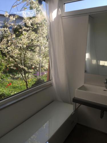 3-Zimmer Ferienwohnung Bahnhofsnahe 1.2km von Petersberg entfernt