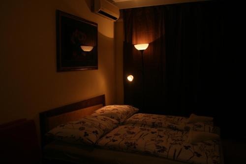 Margaret Bridge Studio Apartment, Budapešť (fotografie 4)