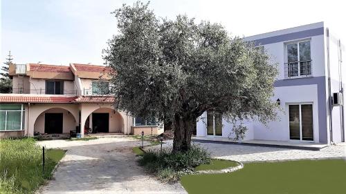 Ieeja, Suluca Homes in Ozankoy