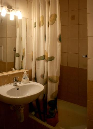 Margaret Bridge Studio Apartment, Budapešť (fotografie 9)