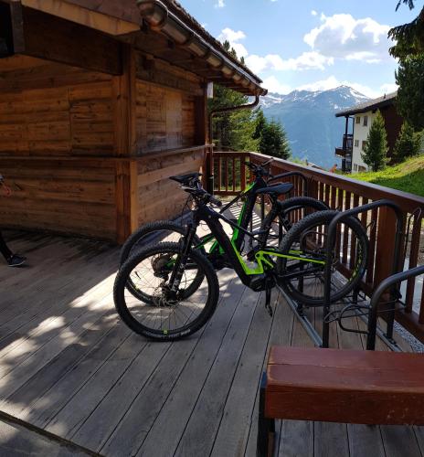 Chandolin Boutique Hotel - image 14