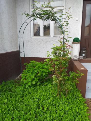  Ota Garden - Zagreb Airport Accomodation in Velika Gorica