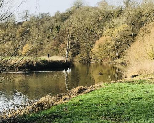 Avon Riverside Glamping