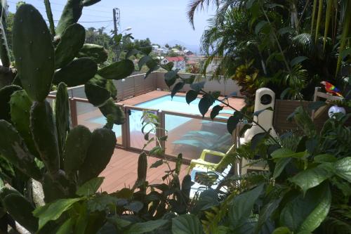 Piscina, an eol caraibes in Trois-Rivieres