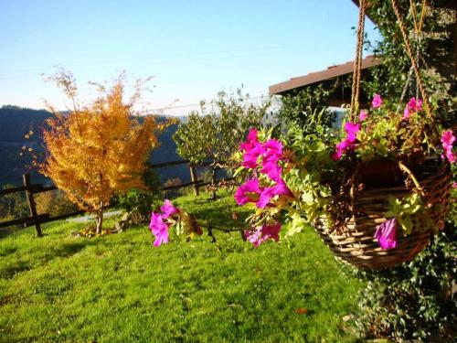 Agriturismo Le Piagge - image 7