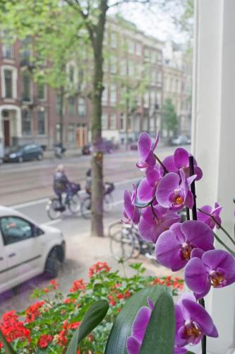 Hotel Allure, Amsterdam (foto 8)