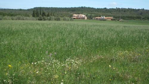 Hotels Image