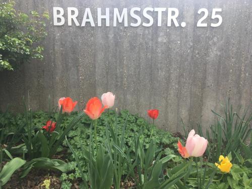 Brahms 25 Regensburg