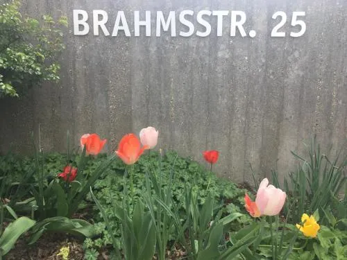 Brahms 25 in Regensburg, Deutschland