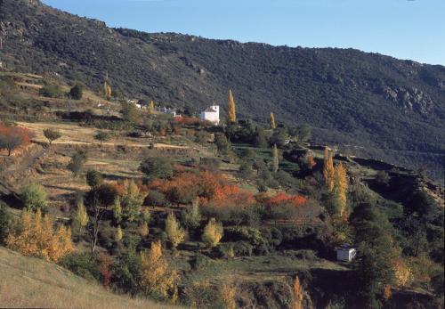 La Locana