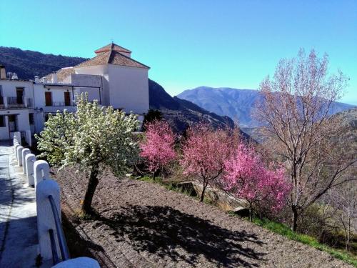  La Locana, Pension in Bubión