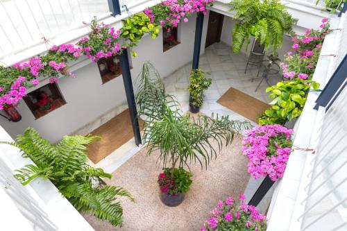 Casa Los Cuatro Soles, Kordoba