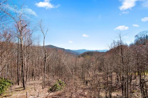 Ridgeview Cabin