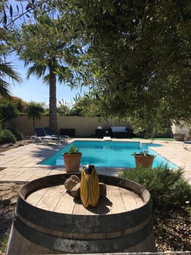 Villa avec piscine chauffée , sécurisée et privée. gîte à louer Lespignan
