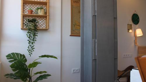 Nice Studio in Alicante City Centre, Alicante (photo 6)