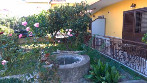 B&B My Sicily - image 4