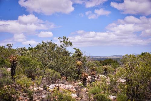 Porcupine Game Lodge & Incanda Safaris