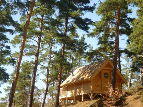 Cabane Lodge Domaine du Lac Chambon - main image