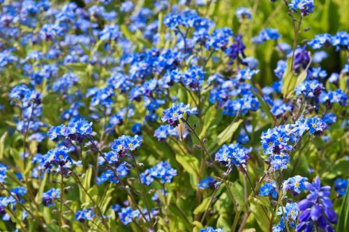 Landhotel Ridder - image 14