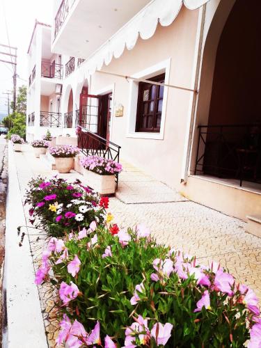  Thodora Appartments in Sami