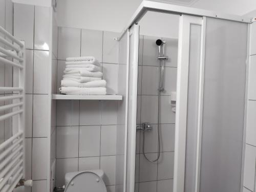 Hostel Caliman - image 8