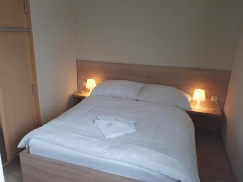 Apartments Lafranconi - image 9