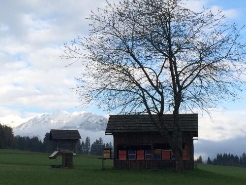 Surrounding environment, Ferienwohnung Lassendorf in Hermagor