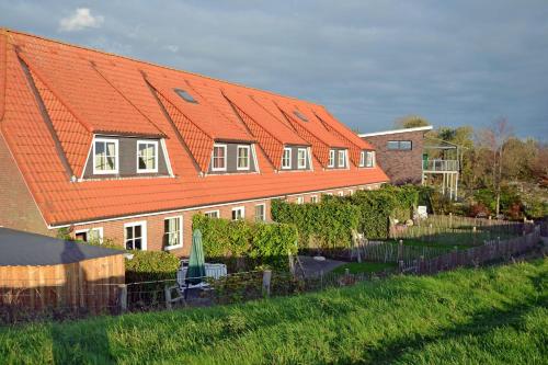 Graugans in Tönning, Deutschland