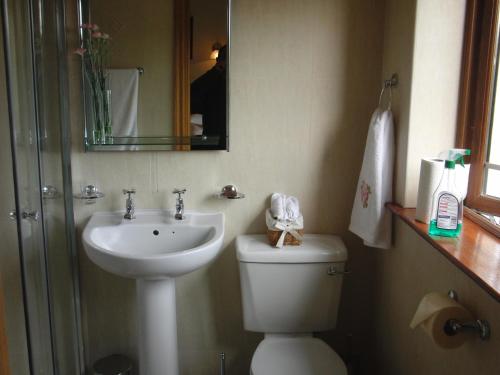 Woodlands House - image 12