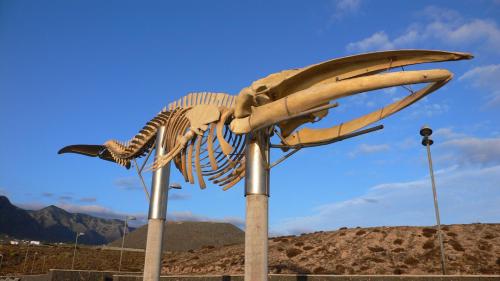 CasaLa Gomera - main image