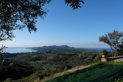  Aetovigli in Foiníki