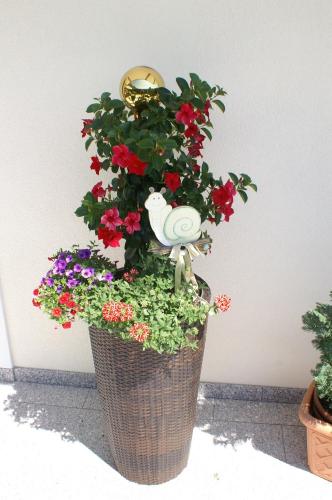 Pension Bergfried - image 3