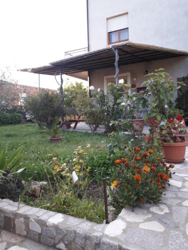 I Girasoli - image 8