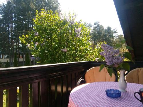 Apartmani Milić (Apartmani Milic) in Sirogojno