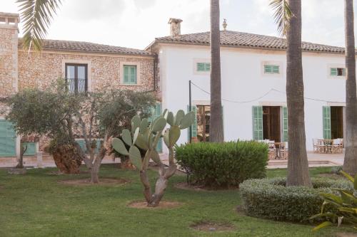 Curolla Petit Hotel