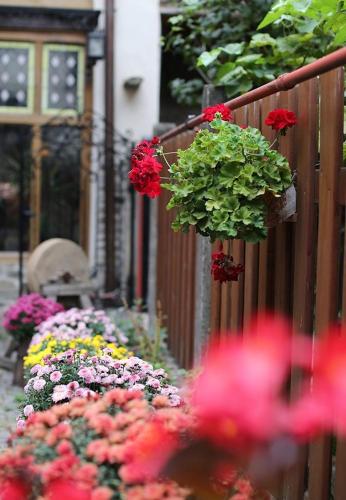Fronius Boutique Residence - image 3