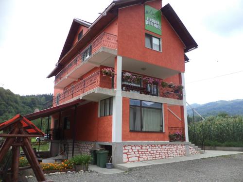 Pension Dor de munte - image 14