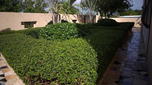 Vista exterior, Apartamentos Nuevo Amanecer in Río San Juan