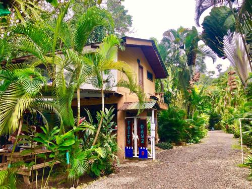 Entrée, Tasty Dayz Hostel in Puerto Viejo de Talamanca